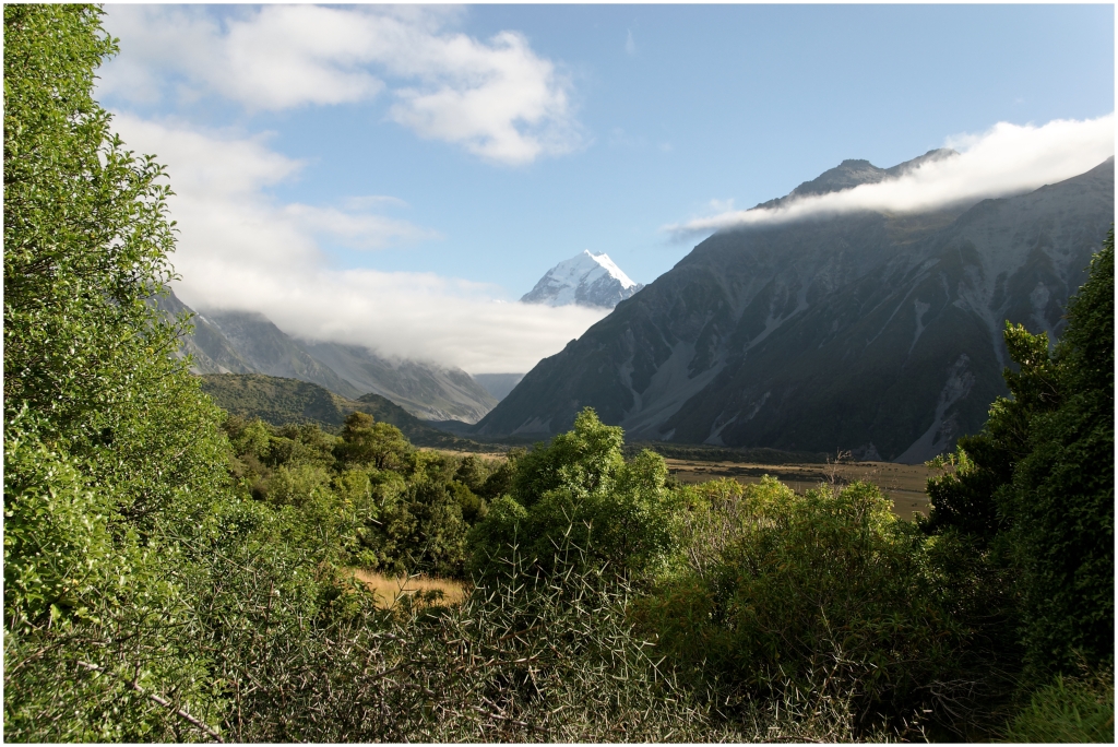 03 - Mont Cook (13).jpg